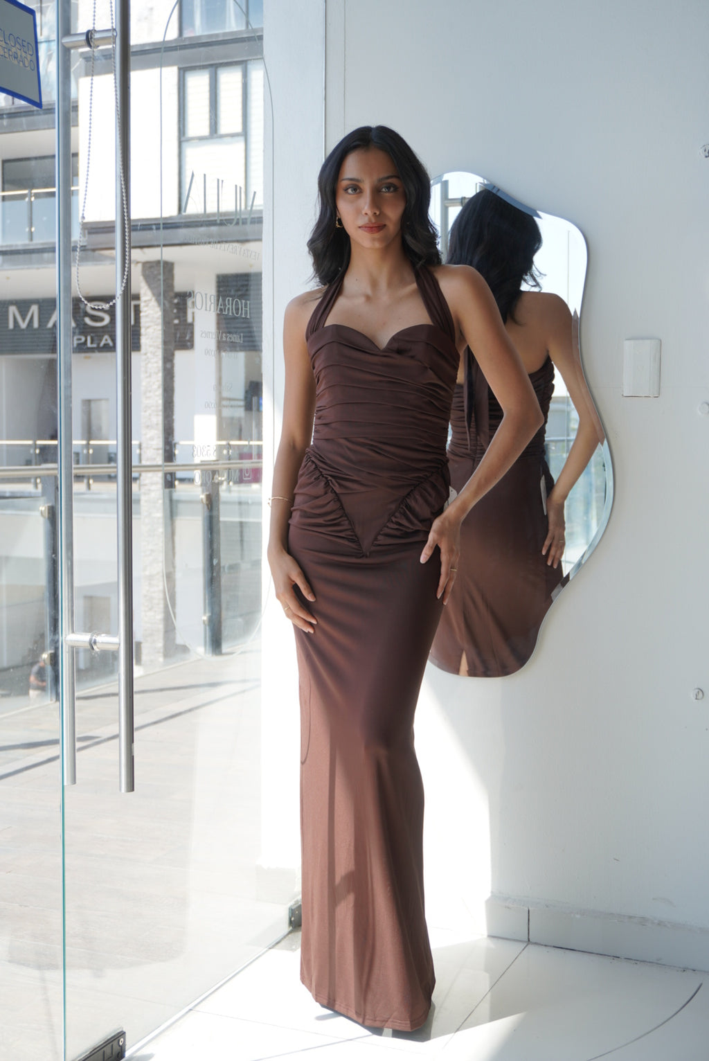BROWN HALTER