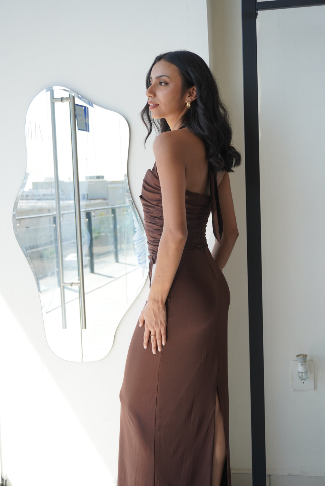 BROWN HALTER